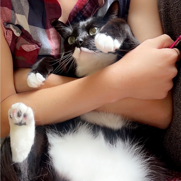 Meet your Posher, Brianna - Picture 7 of 8